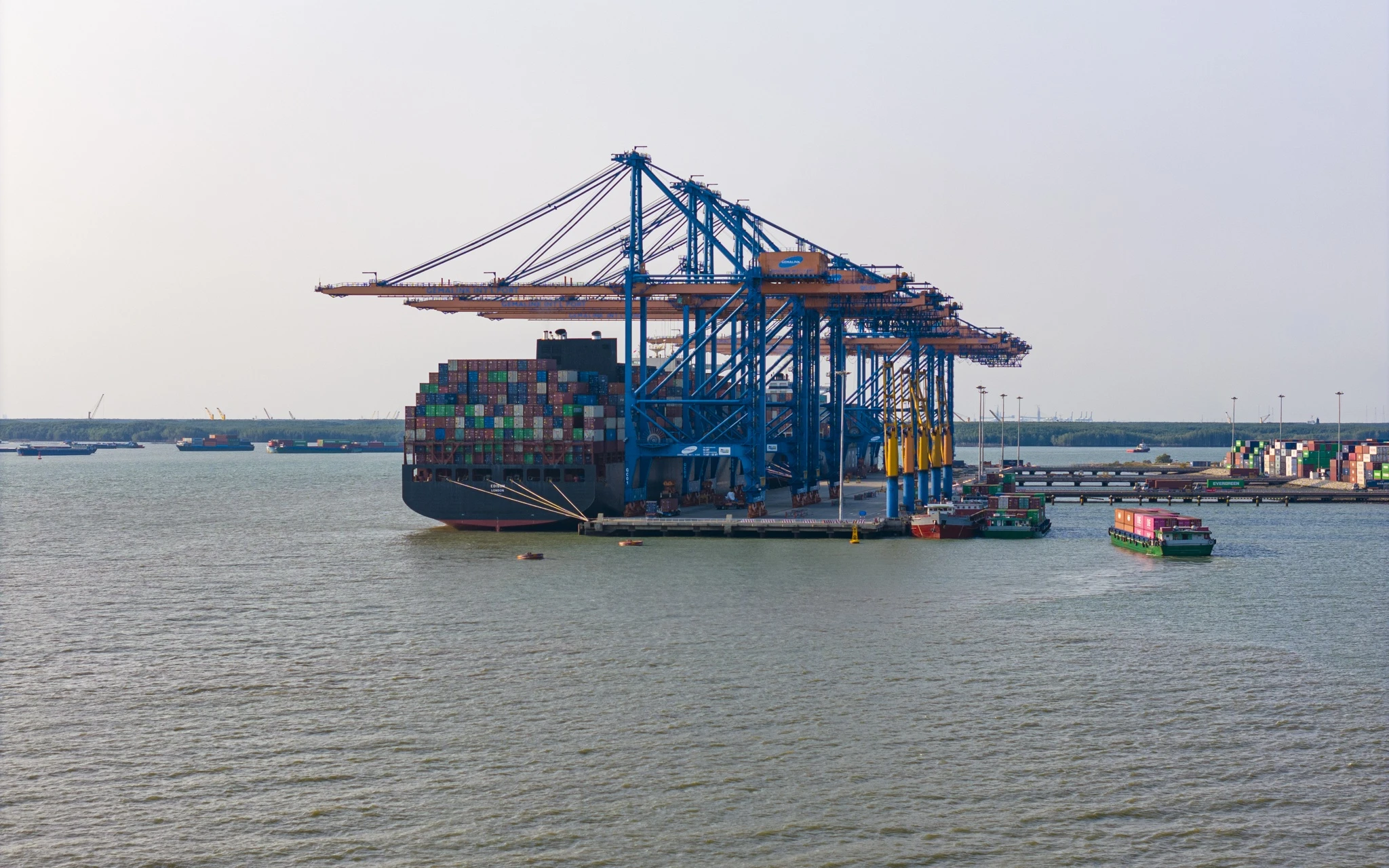 cang gemalink anh 10