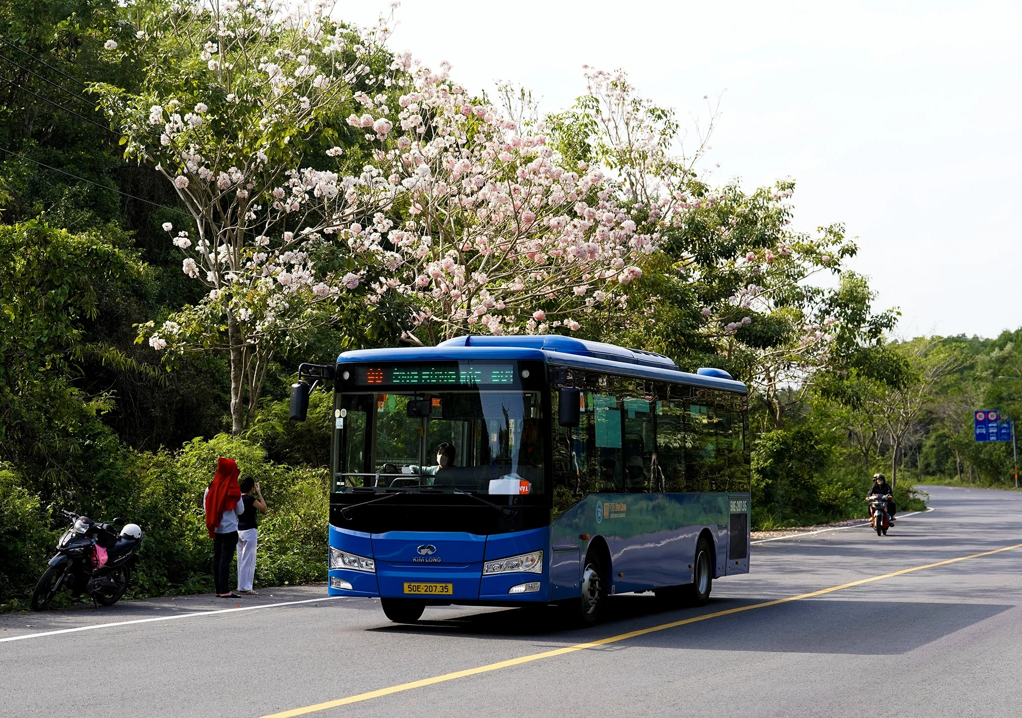 rung sac anh 10