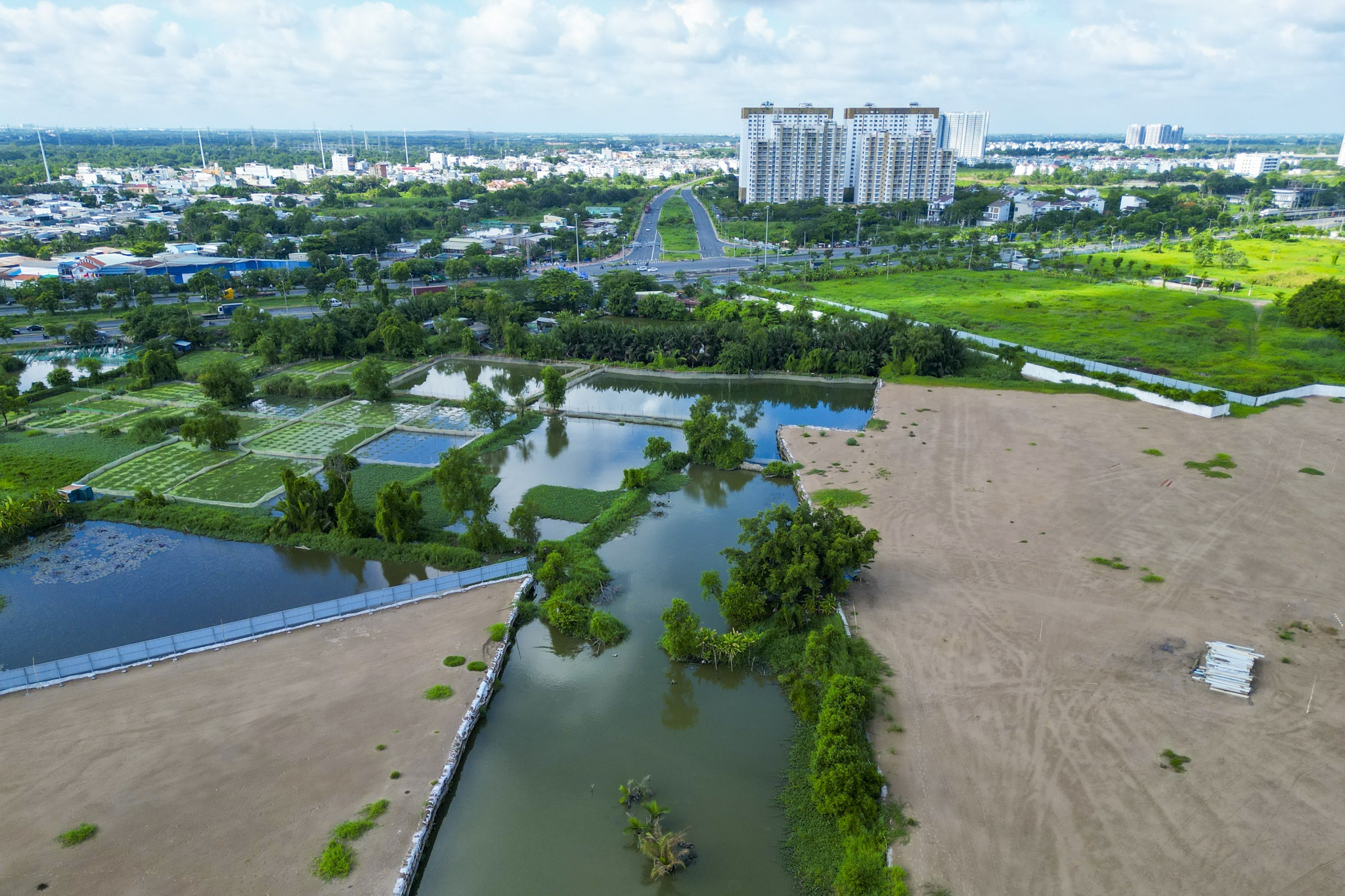 cau duong binh tien anh 12