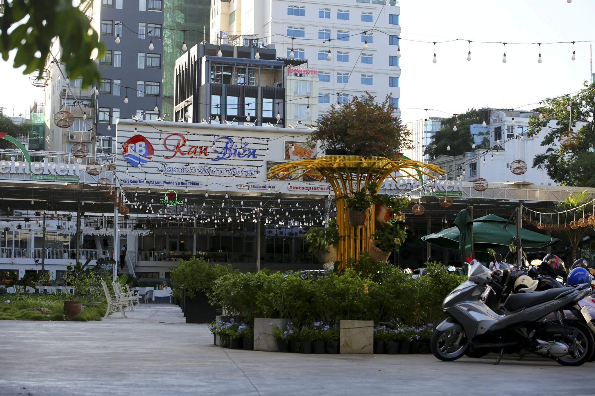 đất v&agrave;ng ảnh 5