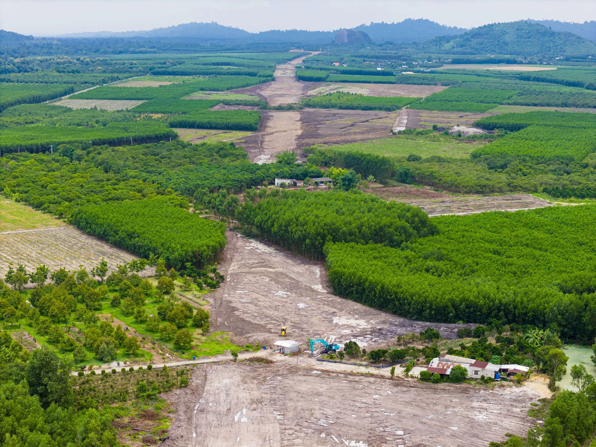 cao tốc dầu gi&acirc;y ảnh 13