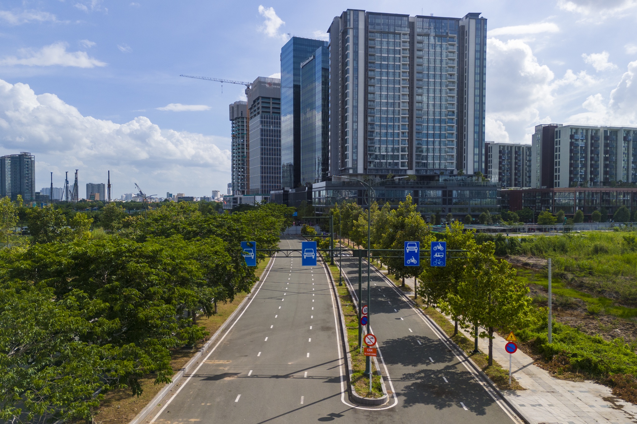 đấu gi&aacute; ảnh 5