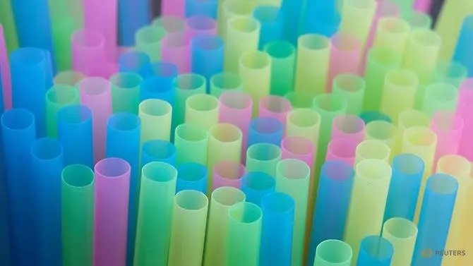 chống biến đổi khí hậu, sống xanh ảnh 3 chong bien doi khi hau, song xanh anh 3