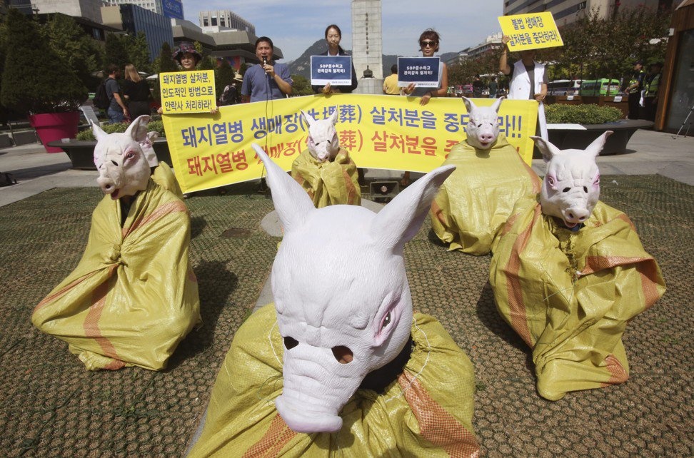 Lon rung chet dang ngo gan khu DMZ lien Trieu hinh anh