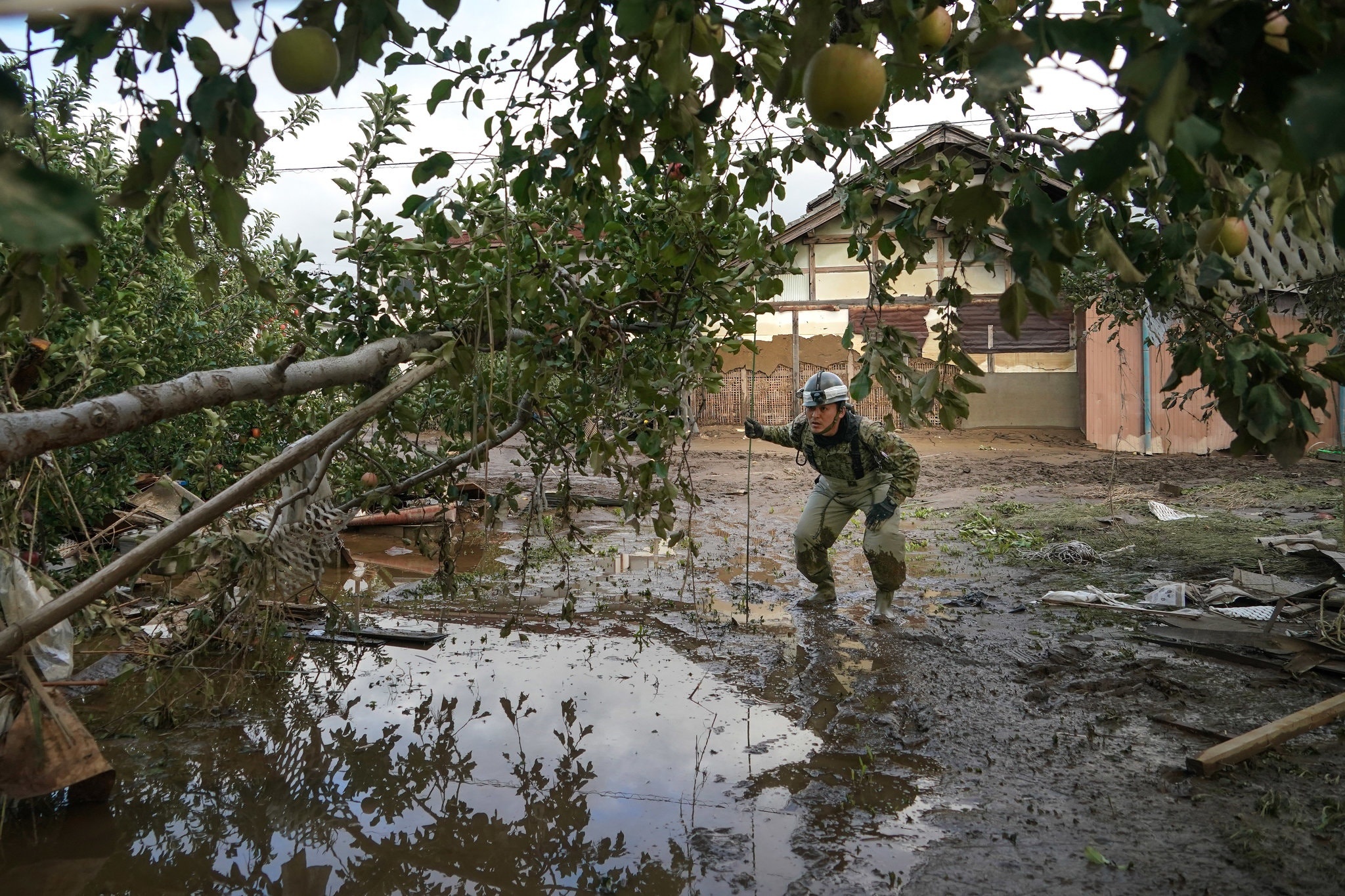 bao Nhat Ban,  thien tai,  bao Hagibis anh 2