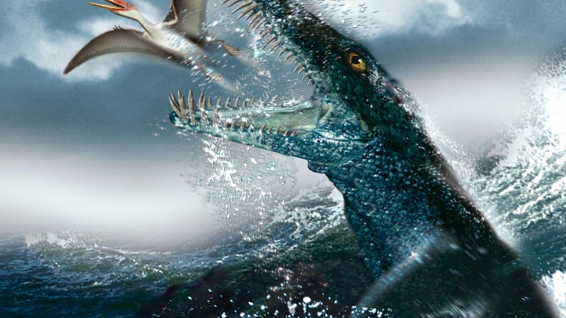 Phat hien hoa thach quai vat bien 150 trieu nam tuoi hinh anh