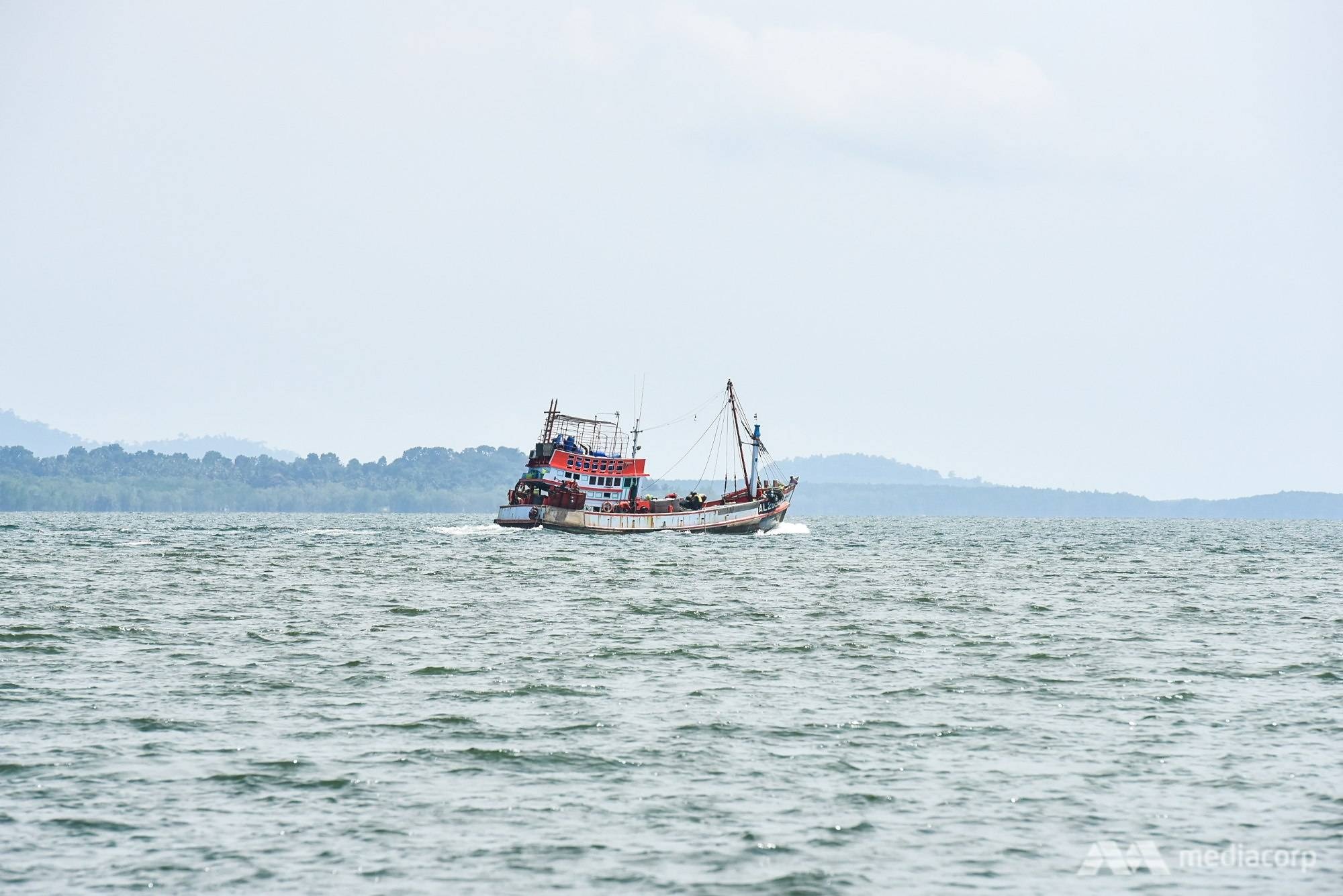 dugong, bò biển, mariam, Thái Lan, bò biển chết ảnh 4 dugong, bo bien, mariam, Thai Lan, bo bien chet anh 4
