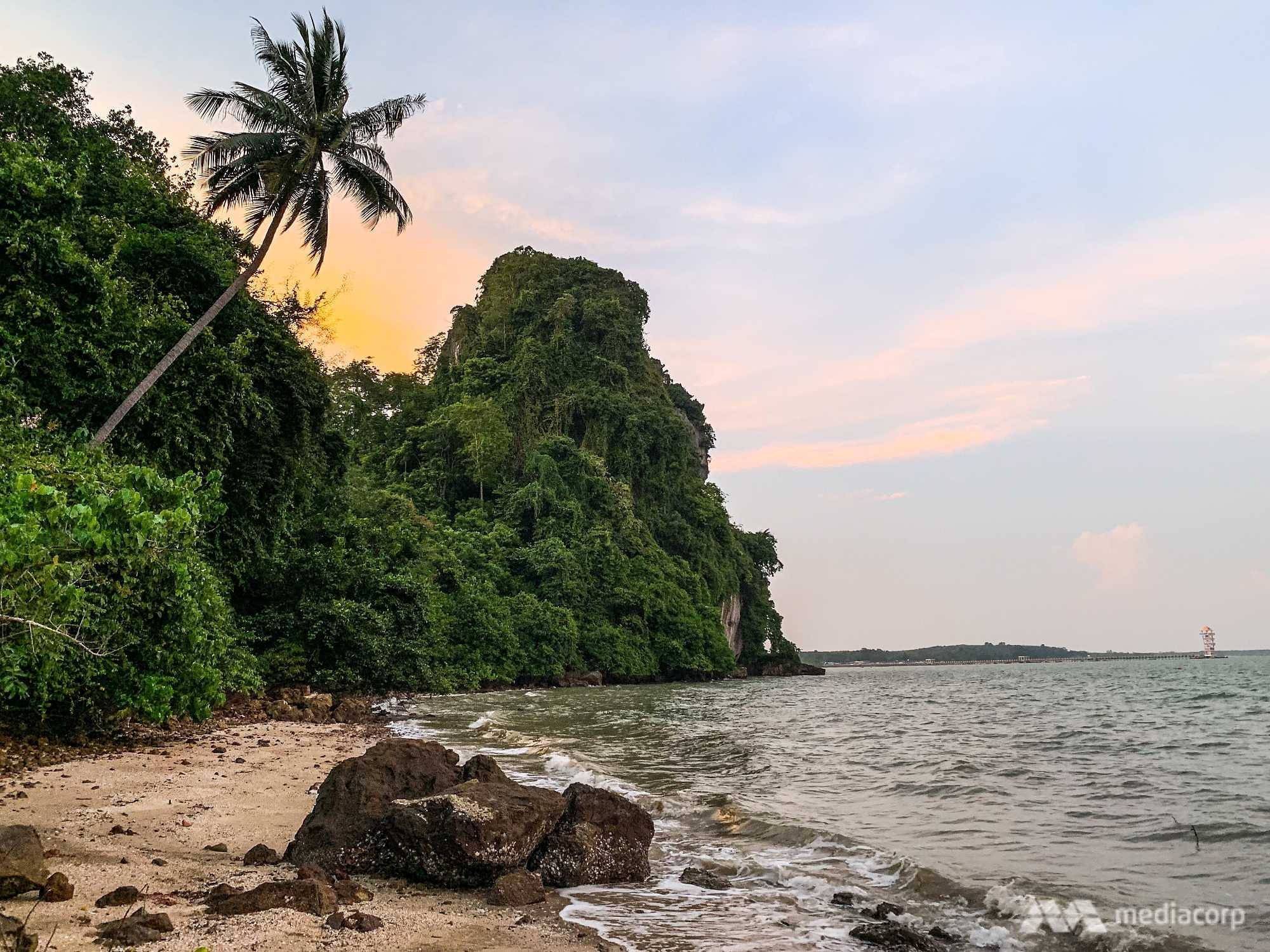 dugong, bò biển, mariam, Thái Lan, bò biển chết ảnh 1 dugong, bo bien, mariam, Thai Lan, bo bien chet anh 1