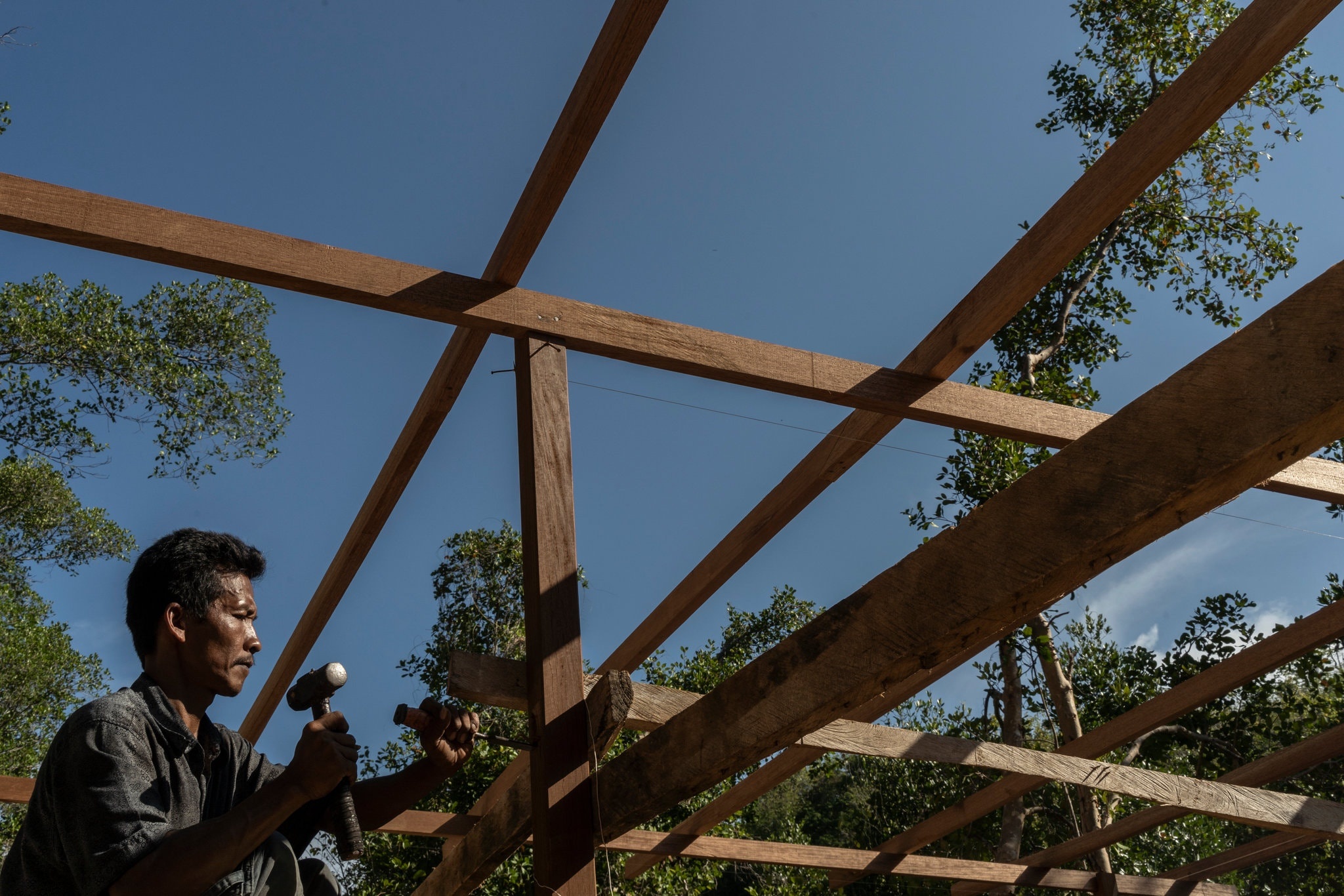 sua,  chich,  Indonesia,  bao ve moi truong,  bien doi khi hau anh 5