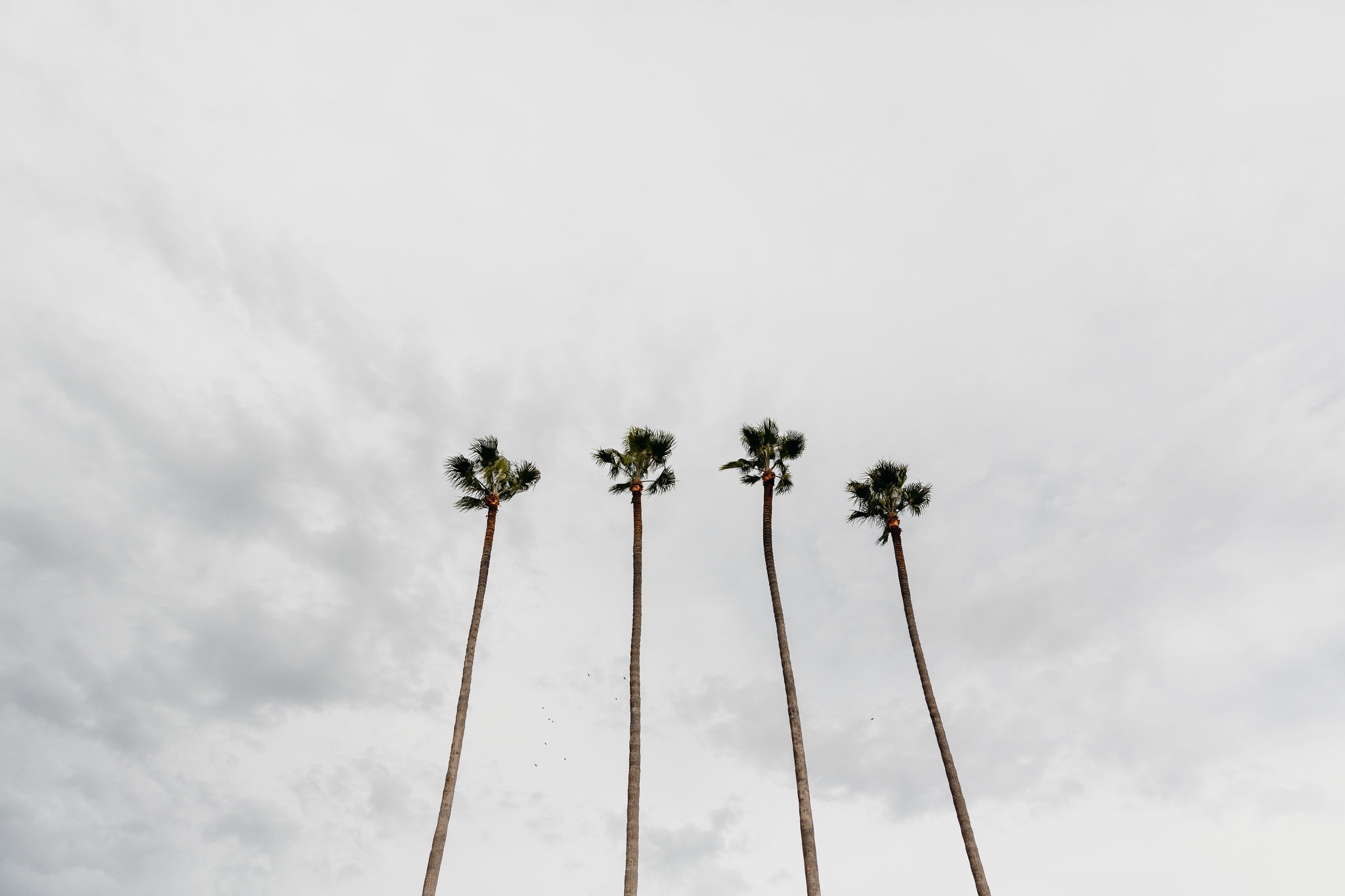 bien doi khi hau o My anh 2