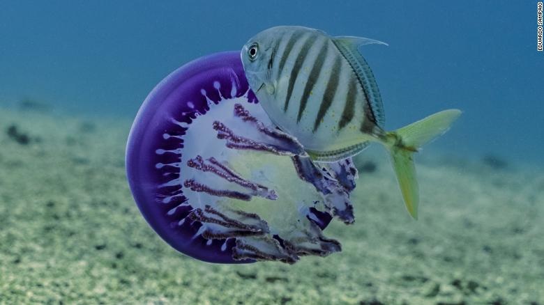 ảnh khoa học 2019 ảnh 6 anh khoa hoc 2019 anh 6