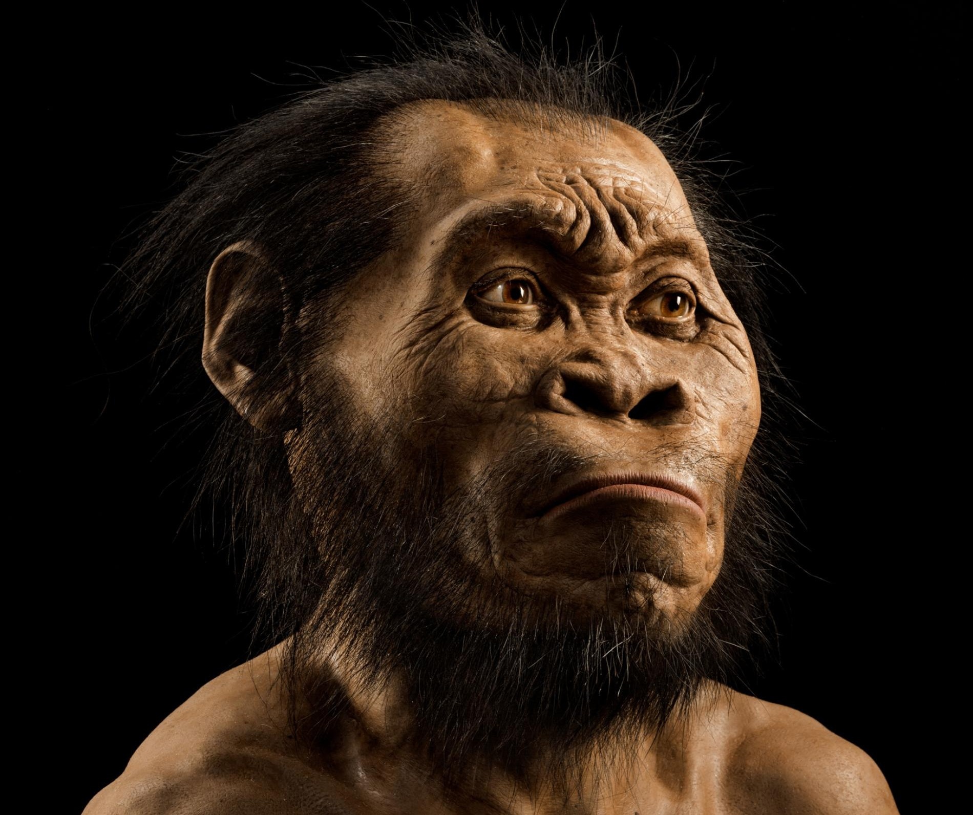 Nhung phat hien khoa hoc quan trong nhat cua thap ky hinh anh