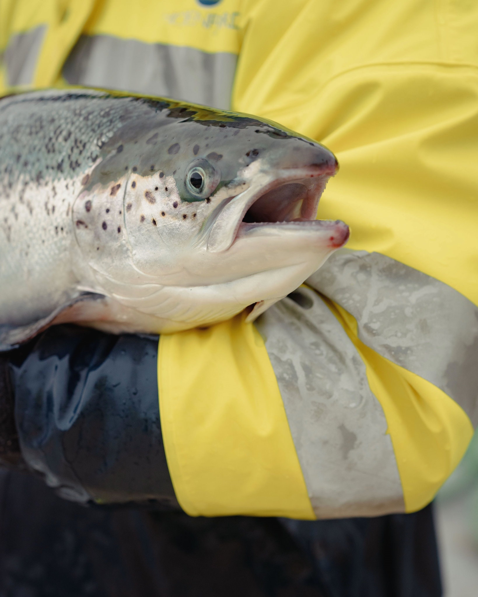 canh tranh My - Trung anh 3