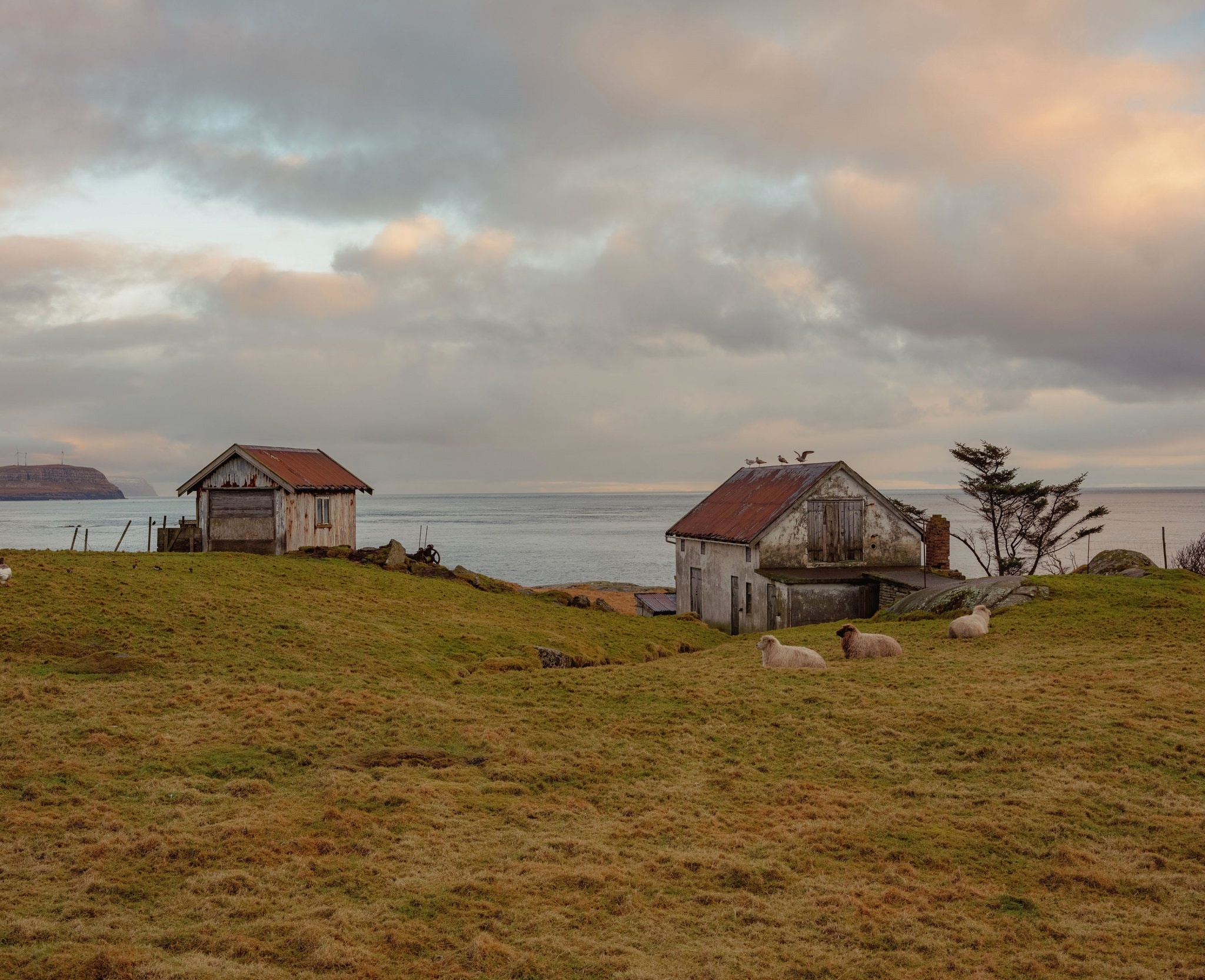 Chien truong moi cua My va Trung Quoc 'noi tan cung the gioi' hinh anh