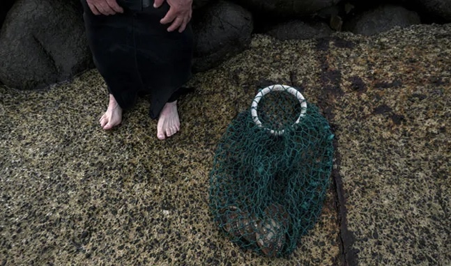 bien,  tao be,  Tasmania,  chay rung anh 1