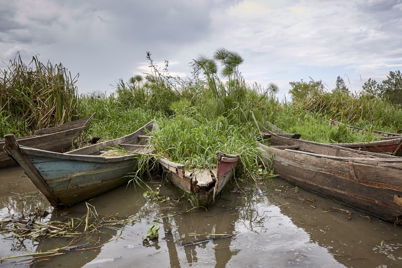 doi tinh lay ca anh 8