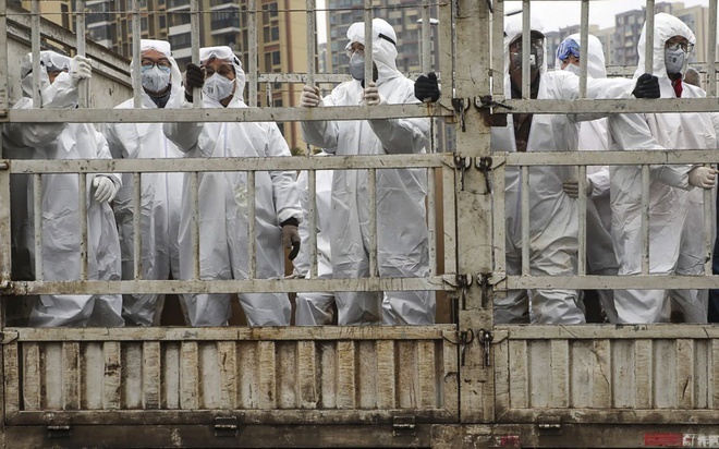 Tap Can Binh chong virus corona anh 3