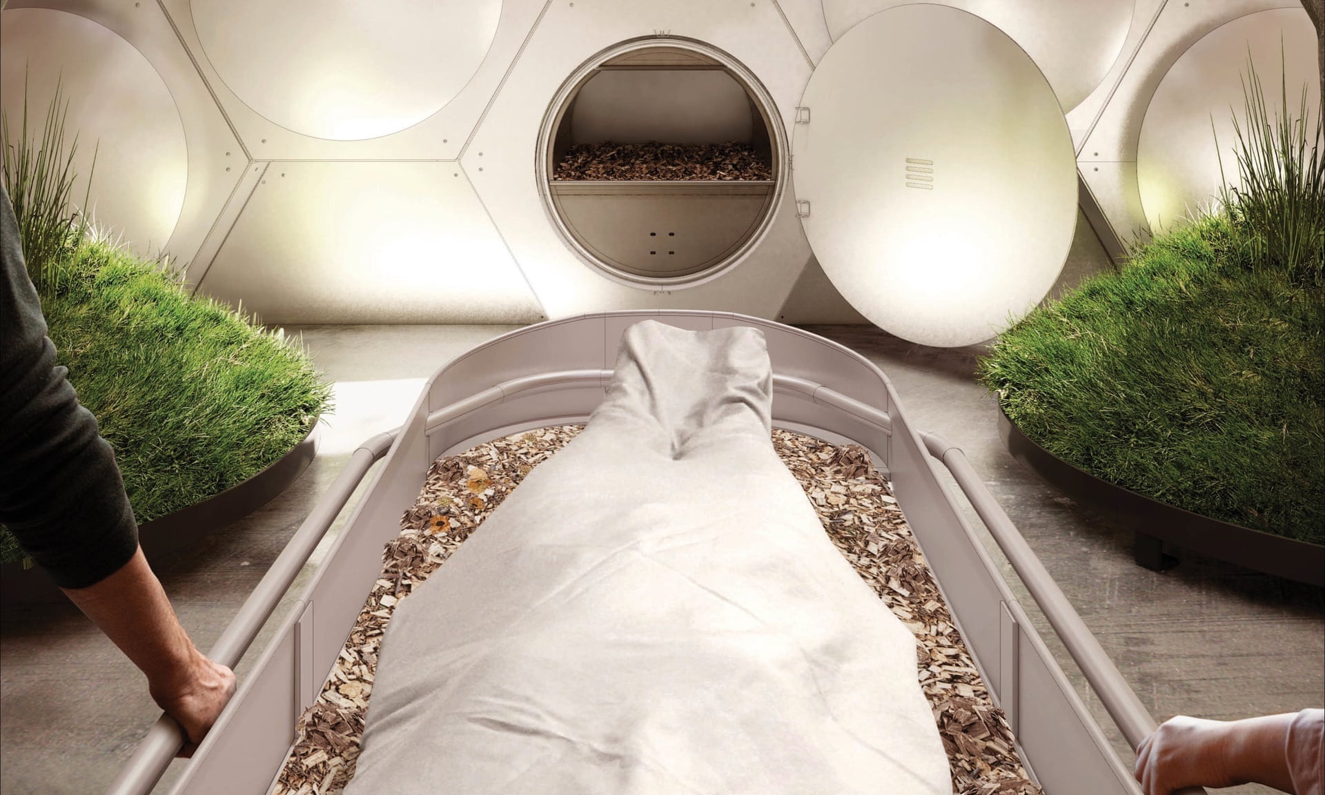 Bang Washington cho phep dung thi the nguoi lam phan bon hinh anh