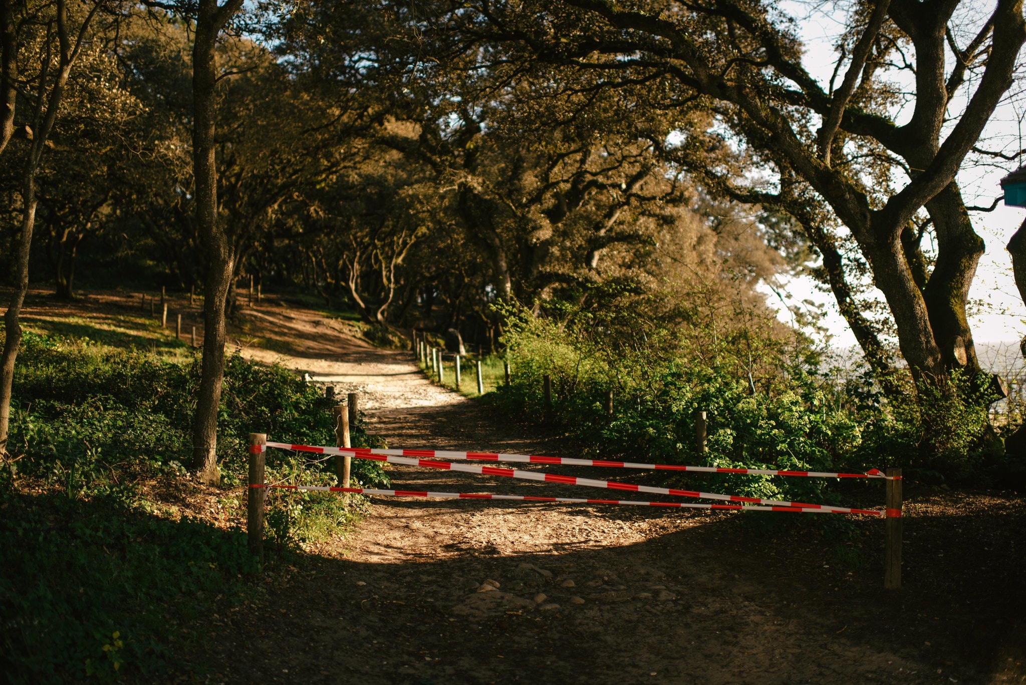 nguoi giau chau Au tranh dich anh 4