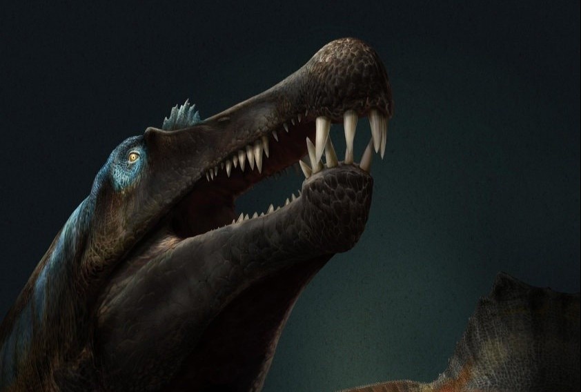 Tim thay hoa thach loai khung long ky la co the boi trong nuoc hinh anh