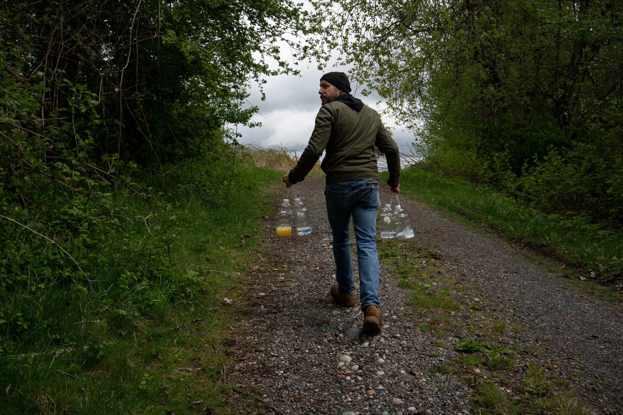 ong bap cay chau A den My anh 3