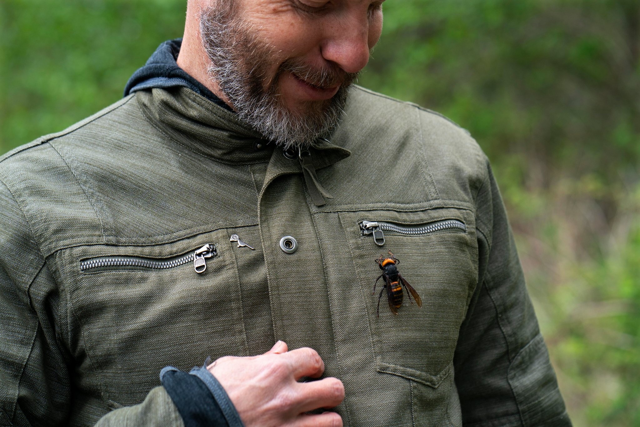 ong bap cay chau A den My anh 2