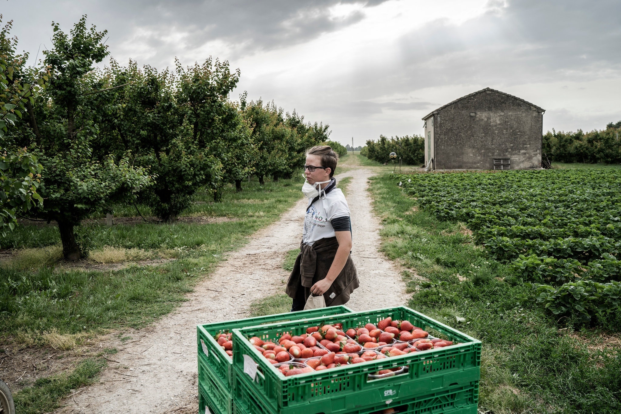 nguoi Italy quay lai lam nong dan anh 2