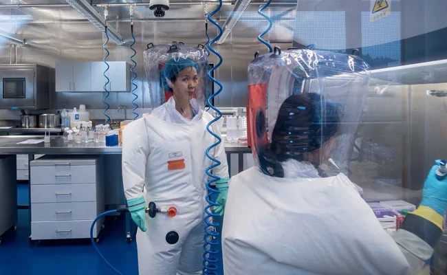 phan noi cua tang bang chim,  nguoi phu nu doi canh bao anh 1