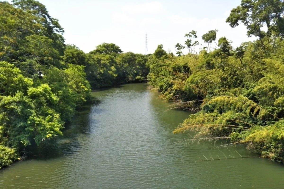 Bat nguoi Trung Quoc vut vali dung thi the phu nu xuong song hinh anh