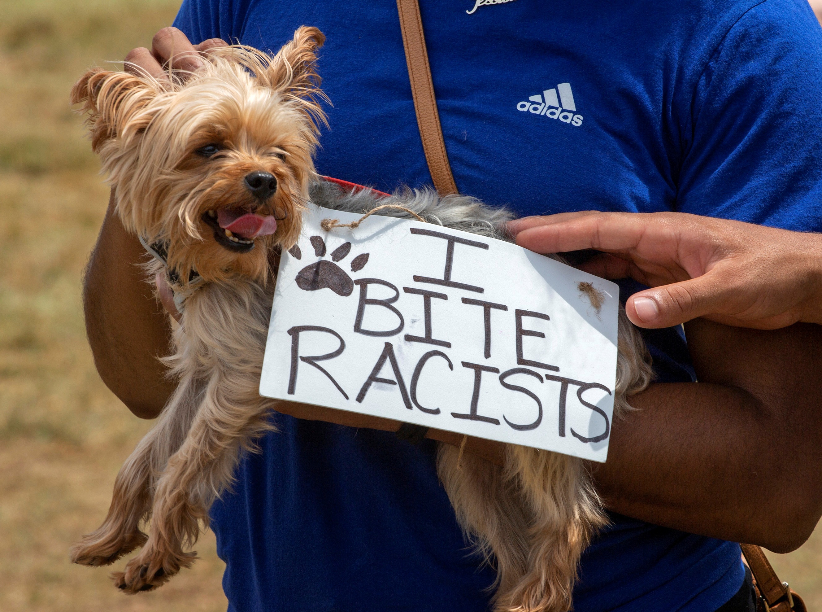 bieu tinh lat do tuong o My anh 8