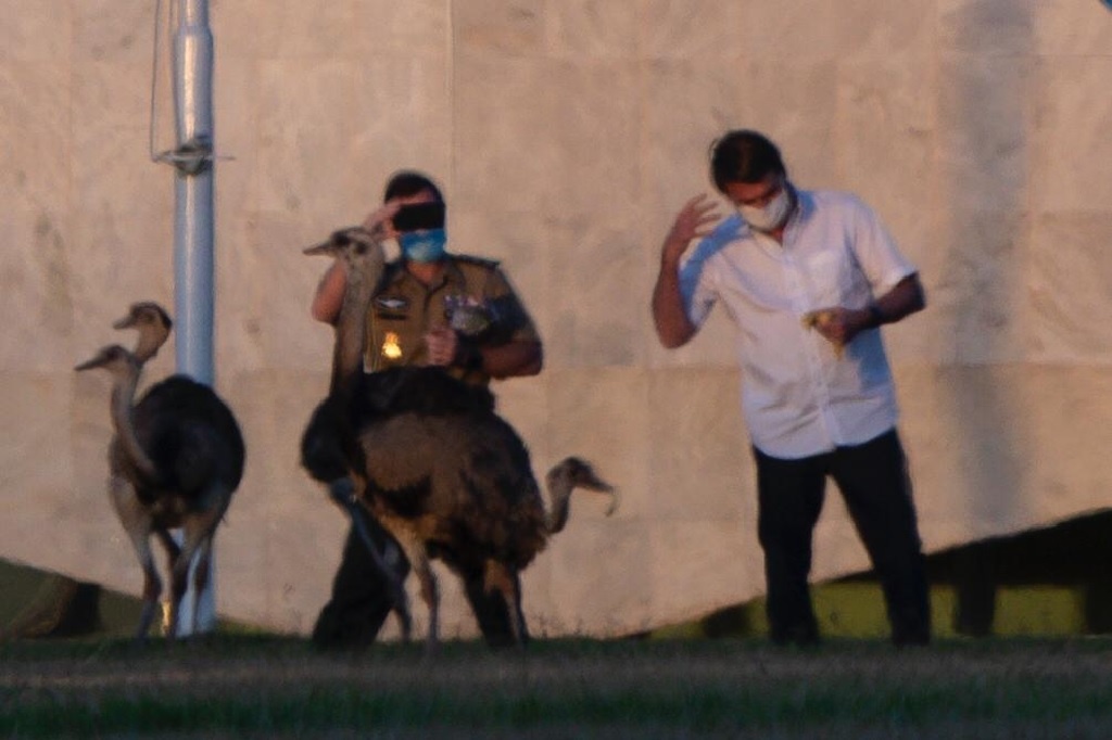 Tong thong Brazil bi da dieu mo anh 2