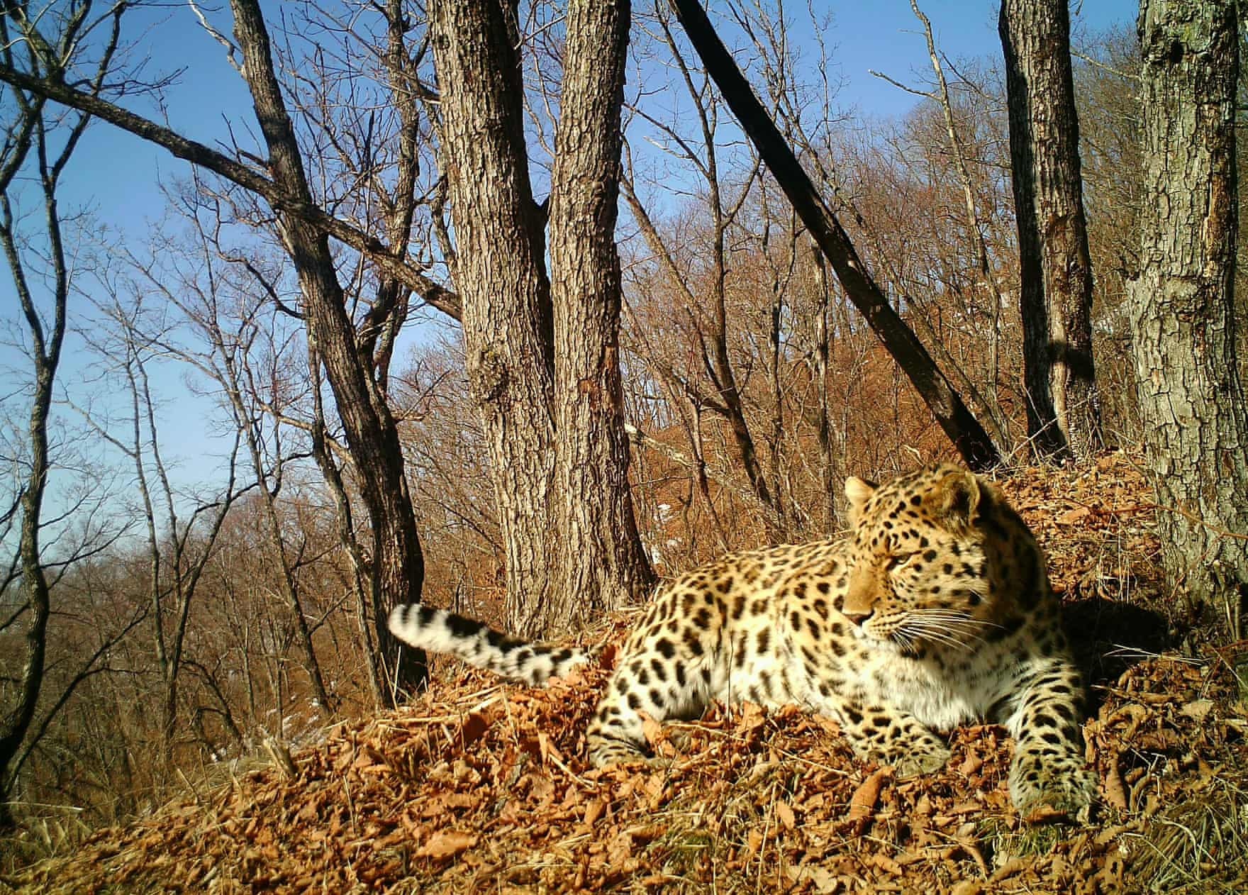 bat gap dong vat quy hiem anh 8