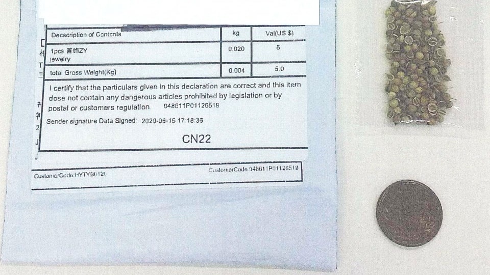 Nhat canh bao hat giong bi an tu TQ co the chua virus hinh anh