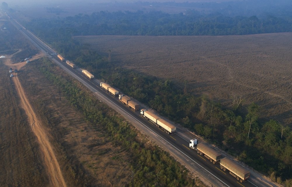 chay rung Amazon anh 10