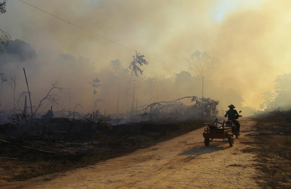 chay rung Amazon anh 11