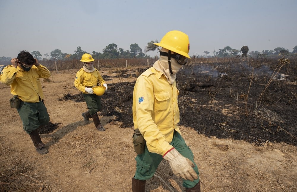 chay rung Amazon anh 2