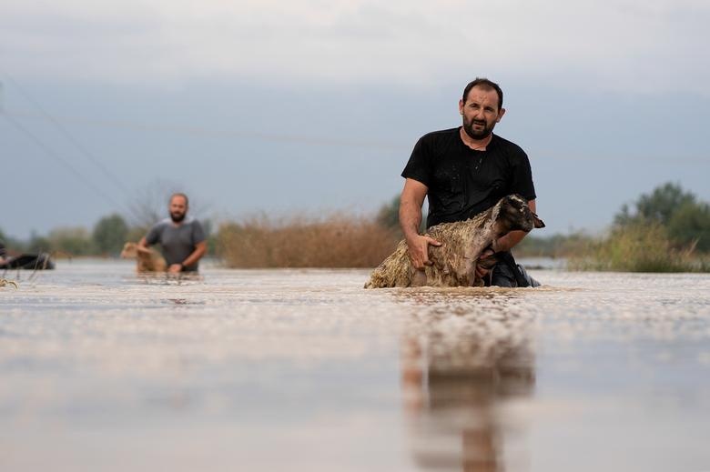 bao hiem vao Dia Trung Hai anh 4