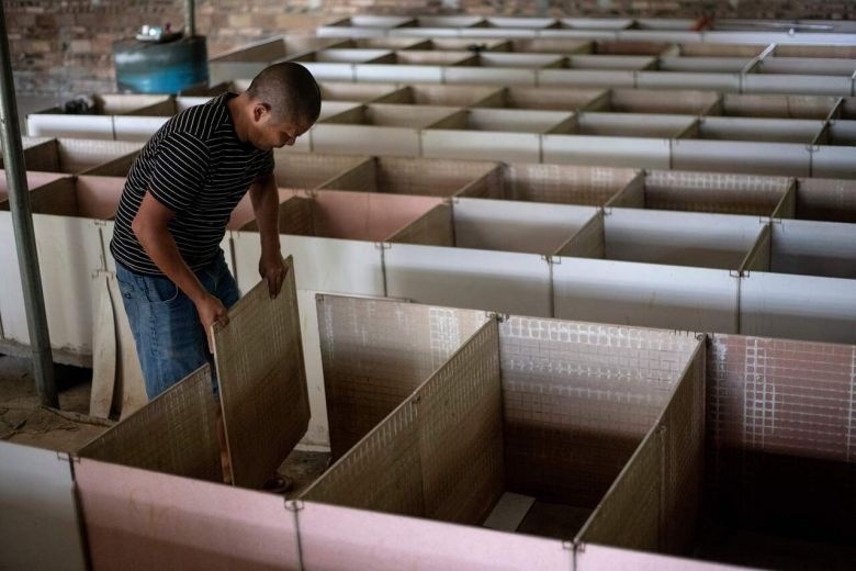 Trung Quoc cam buon ban dong vat hoang da anh 1