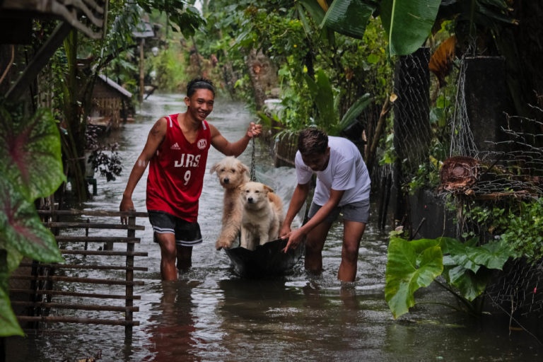 dan Philippines mat nha trong bao anh 2