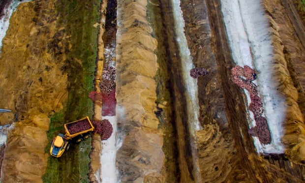 Xac chon nau troi len tren ho chon nhu 'zombie' o Dan Mach hinh anh