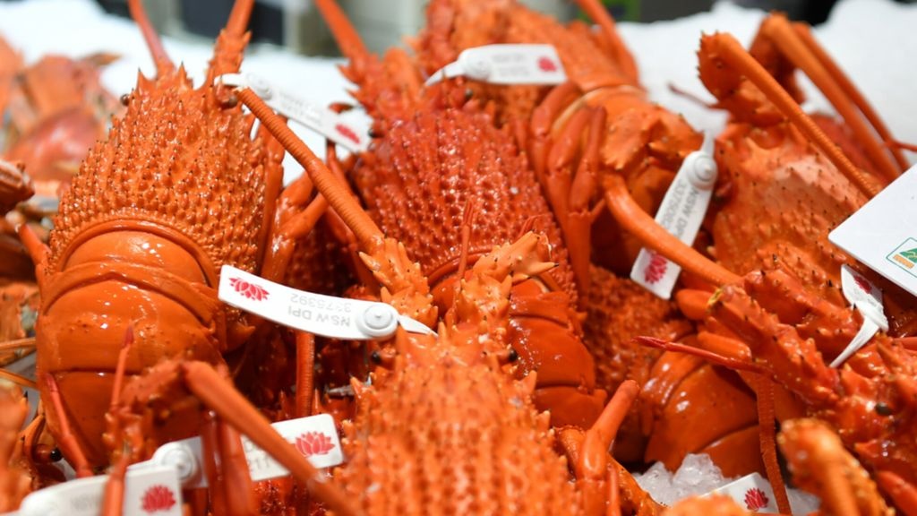 Cang thang Australia - Trung Quoc vuot ra ngoai pham vi thuong mai hinh anh