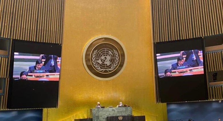 LHQ thong qua Ngay Quoc te san sang chong dich do Viet Nam de xuat hinh anh