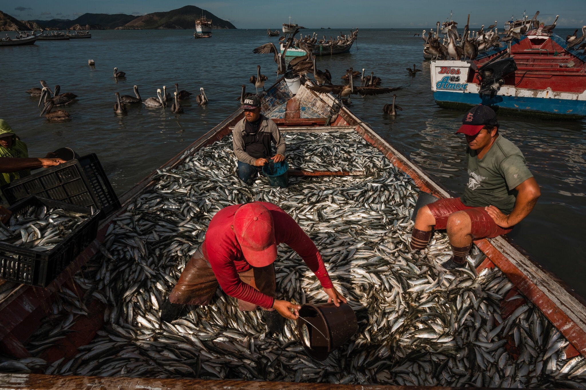 nu trang dat vao Venezuela anh 6