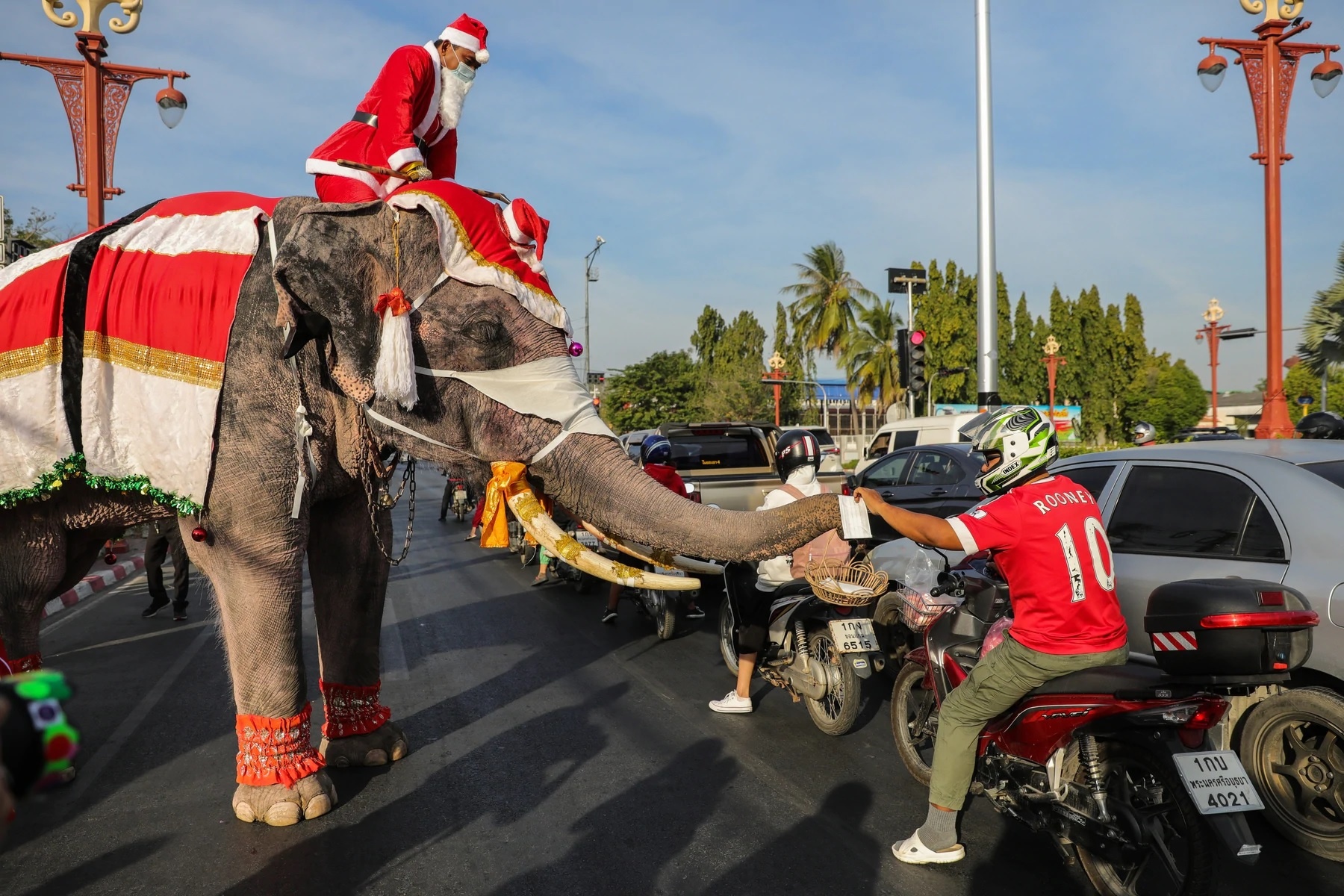 Giang sinh giua dai dich anh 2