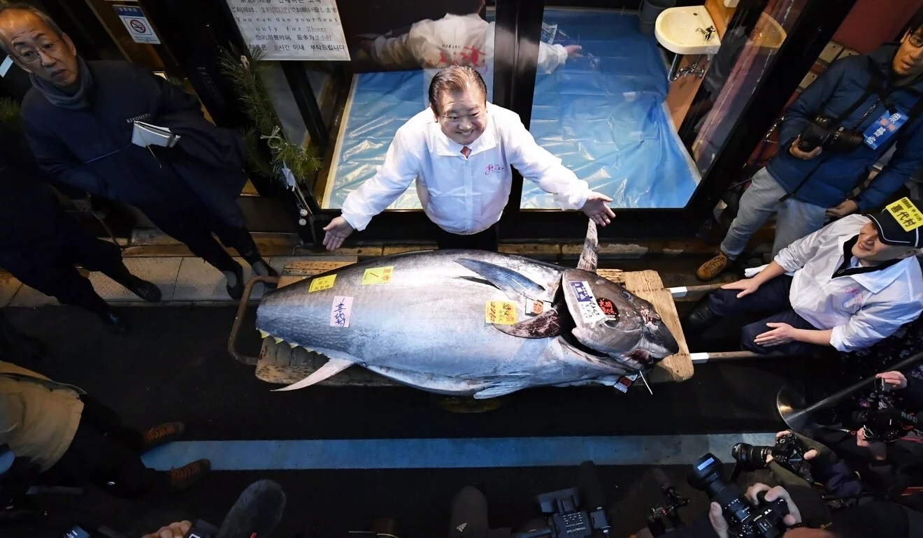 dau gia ca ngu Nhat Ban anh 2