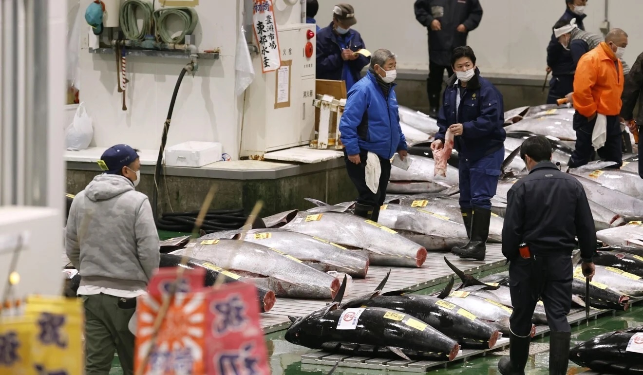 dau gia ca ngu Nhat Ban anh 1