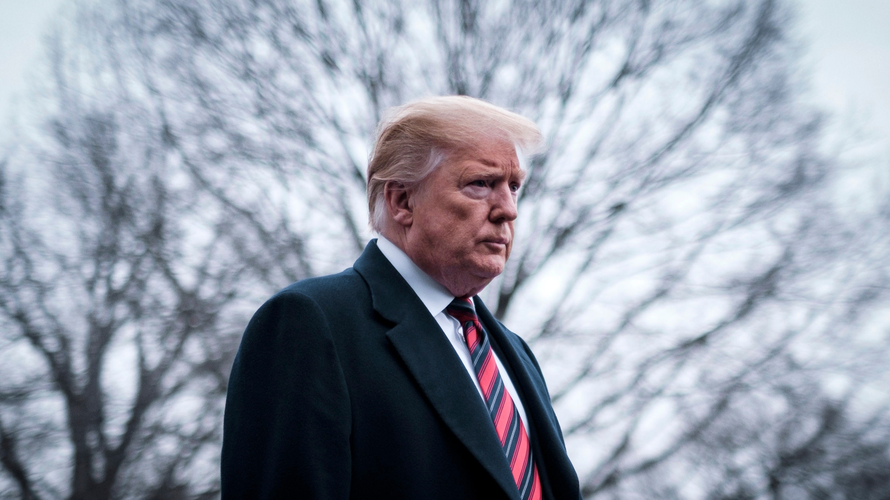 ba Trump san sang cho tuong lai anh 3