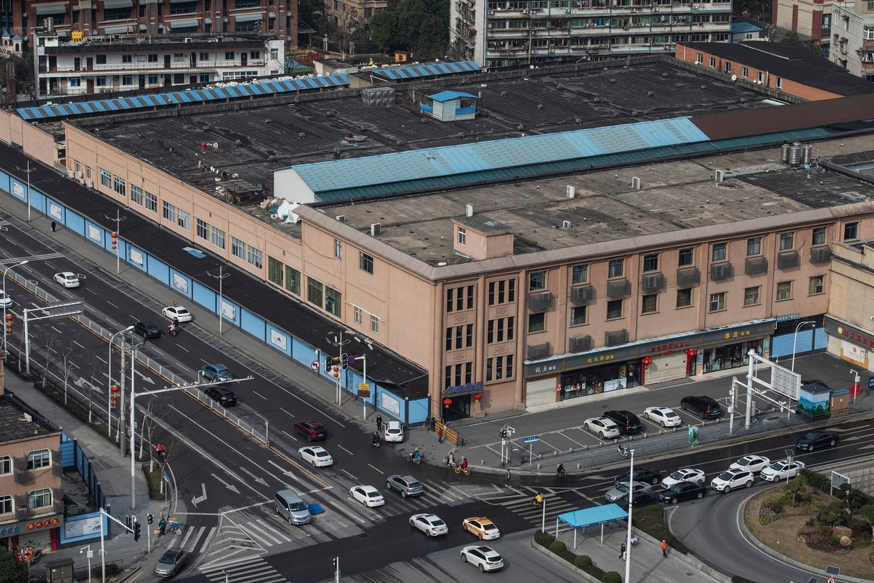 nha dieu tra WHO huong ve ngoi cho thu hai anh 2