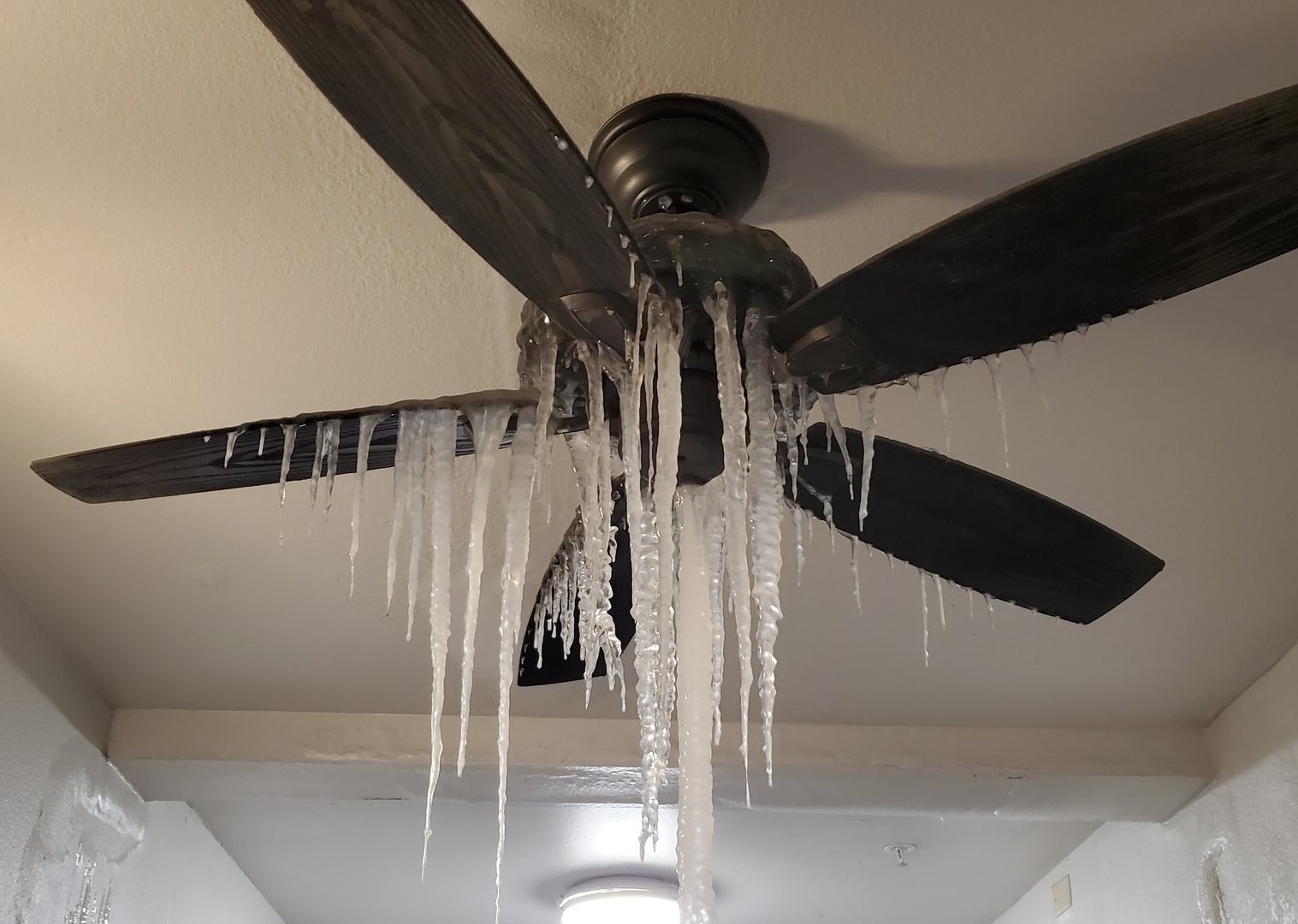 Buc anh quat tran dong bang o Texas gay chan dong hinh anh