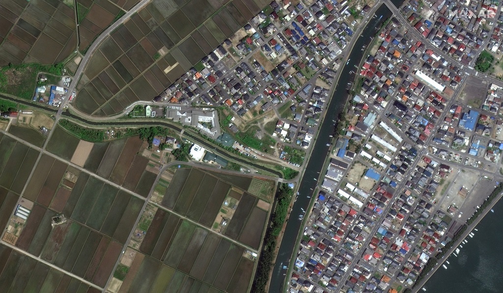 tham hoa kep Nhat Ban anh 11